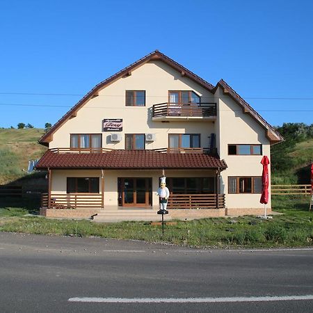 Pensiunea Fery Slobozia-Oancea Luaran gambar